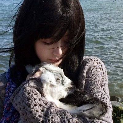 猫忍