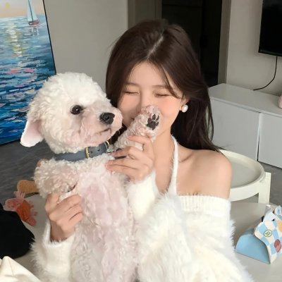 机械怪兽